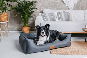 Creating Comfortable Pet Bed Spaces