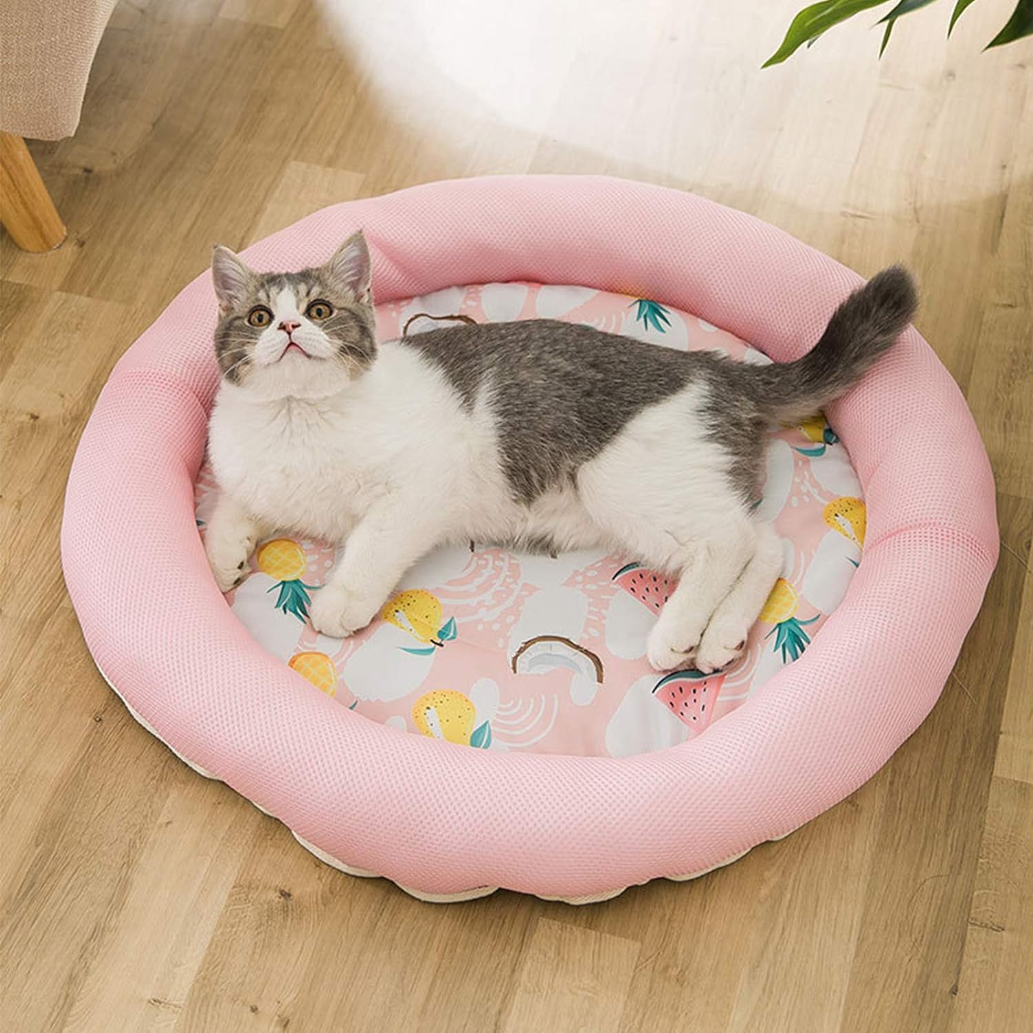 e4601c77008fa8487682e0a391a97027